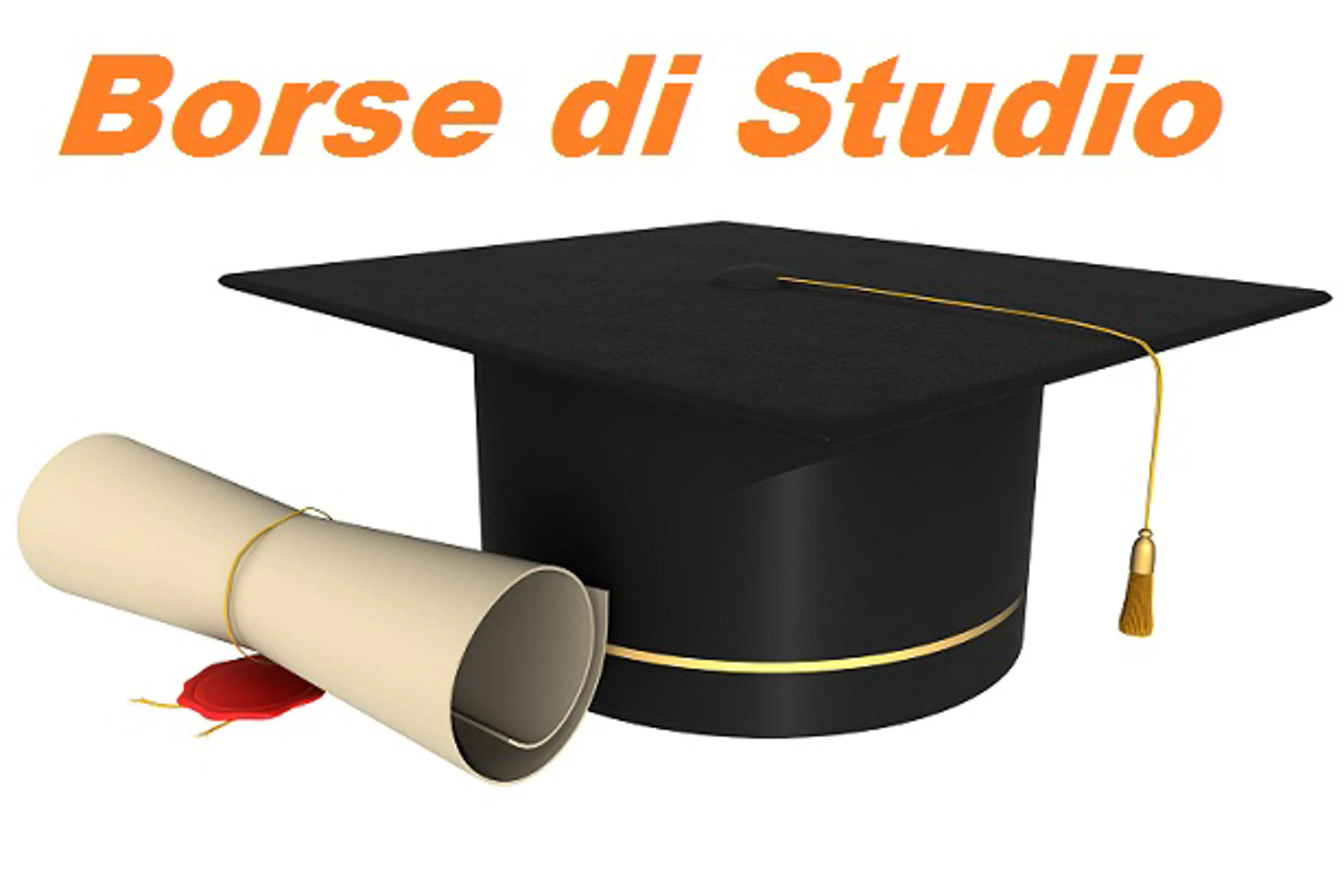 Iscrizione Borsa studio "Beria-Ricotti"